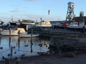 Trine Søe - konservativt kommunalbestyrelsesmedlem i Dragør 4 havnen